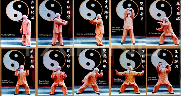Taiyi Bagua Hunyuan Yangsheng Gong: Cultivating Vitality and Longevity