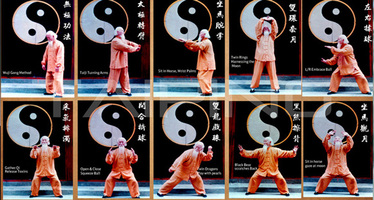 Taiyi Bagua Hunyuan Yangsheng Gong