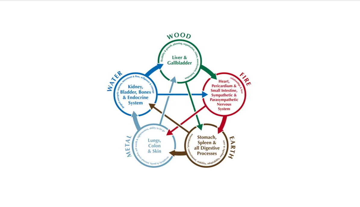 The Five Elements in Practice: Foundations of Holistic Health