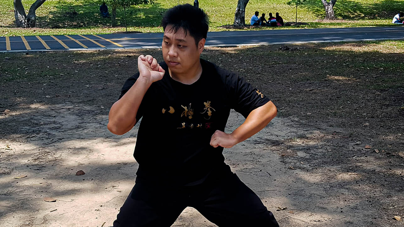 Bajiquan - Level One